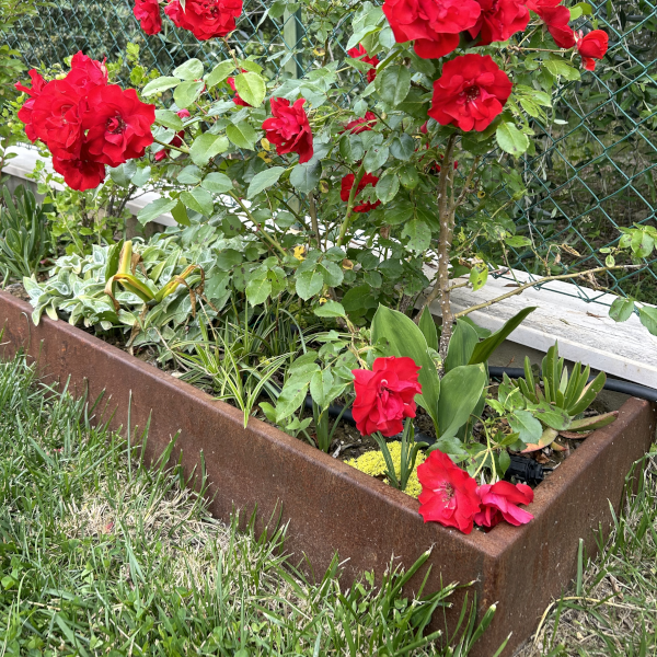 Bordure in corten